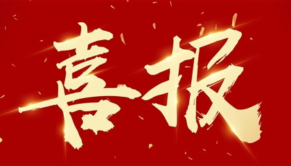 喜訊┃集團(tuán)黨委書記、董事長向誠榮獲市委表彰